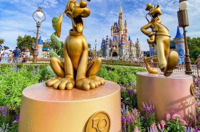 What’s New in Magic Kingdom: 50th Anniversary Updates and LOTS of New Signs