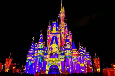 https://www.disneybymark.com/wp-content/uploads/2021/10/wdw-2021-magic-kingdom-cinderella-castle-disney-enchantment-50th-anniversary-fireworks-stock-general-700x525-2-392x260.jpg