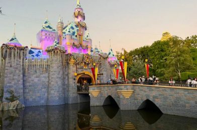 A Burger That Tastes Like Thanksgiving Dinner?! Yes Please, Disney!