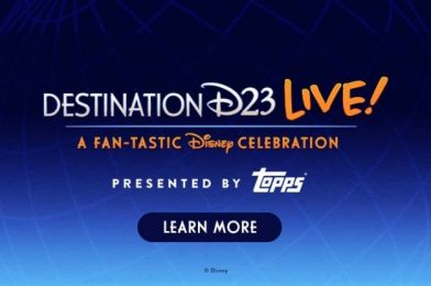 NEWS: Walt Disney Company CEO No Longer Attending Destination D23