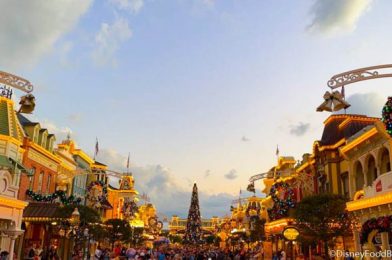 VIDEO: Watch Your Step! Magic Kingdom Just Got Very Slippery!