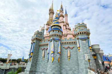 36 Rides Disney World Fans Could TOTALLY Live Without