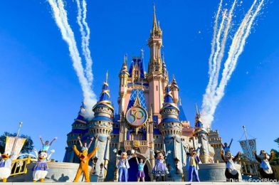 4 Unexpected Things That Happened in Disney World This Week