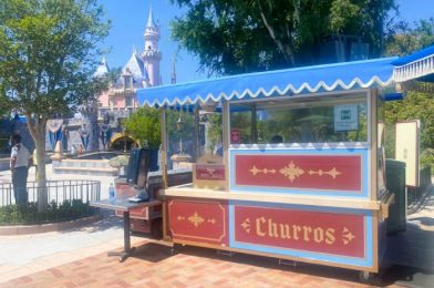 REVIEW: You Can Get a Pink Churro in Disneyland…If You’re Willing to Wait