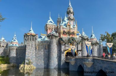 REVIEW: Does the Pumpkin Spice Churro Toffee Still Reign Supreme at Disneyland?!