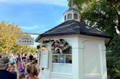 REVIEW: Good Morning to This Funnel Cake and This Funnel Cake ONLY in Disney World