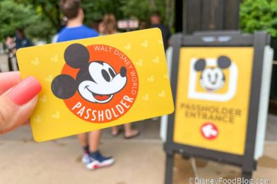 How Does Disney’s Pause of Annual Pass Sales Affect Current Passholders?