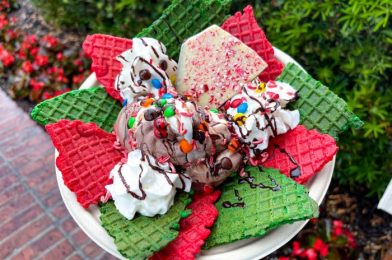 REVIEW! Could This Simple Holiday Treat Be One of Our Top Disney World Picks?!