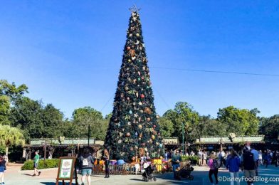 Want to Make Your Own Whisky and Enjoy a 5-Course Meal? Head to this EPCOT Restaurant!