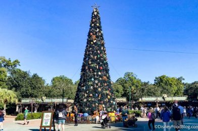 Have You Ever Tried This RARE Disney World Treat?