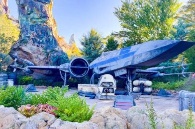 Have You Noticed These Star Wars Hotel Easter Eggs in Disney World’s Galaxy’s Edge?