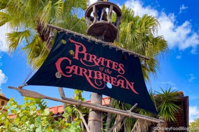 We Found the PERFECT Gift for Pirates of the Caribbean Fans in Disney World!