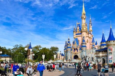 WARNING: Opening This Post May Cause You to Book a Trip to Disney World Immediately