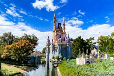 What You Should Pack If You’re Visiting Disney World Next Week!