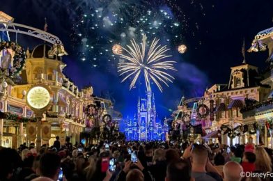 We Saw Much Longer Wait Times in Disney World this Week