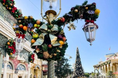 Our FREE Gift to YOU! 25 Holiday Disney World Wallpapers From DFB!