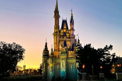 NEWS: Disney Theme Park Revenues Increase By BILLIONS