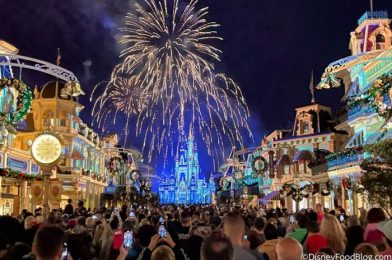 REVIEW: We Almost Chipped a Tooth on this Disney Holiday Dessert