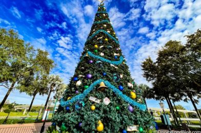 PHOTOS: Holiday Decorations Make One Disney World Hotel the COZIEST Place to Stay