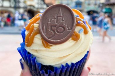 DFB Video: 50 NEW Snacks You’ll WANT in Disney World!