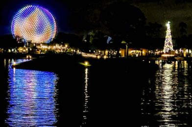 PHOTOS: The Disney World Ride You’ve GOT to Visit at NIGHT Right Now