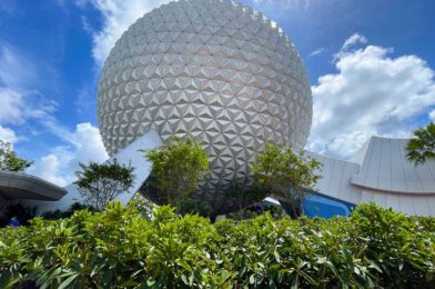 The 5 Best Rides at EPCOT (And the 5 Worst!)