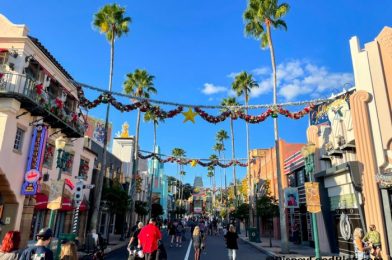 PHOTOS: This Disney Princess is READY for the Holidays at EPCOT!