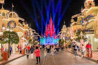 Everything You Can Get for FREE at Disney World’s Very Merriest After Hours Event