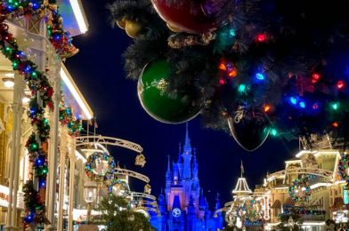 What Will Disney World Crowds Look Like the Week Before Thanksgiving?!