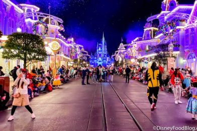 PHOTOS: Parades Have Returned to Disney World!