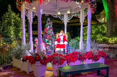 SANTA CLAUS Has Arrived in Magic Kingdom