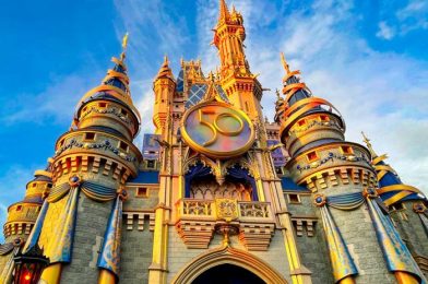 Everything You’re Doing WRONG at Magic Kingdom