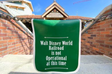 We’ve Got An UPDATE On The Walt Disney World Railroad!