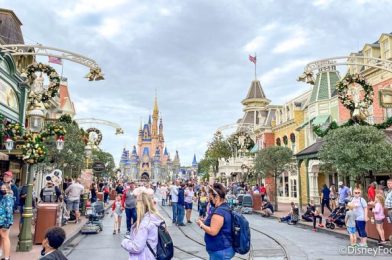 DFB Video: An AMAZING Disney World Trip on a $3,000 Budget