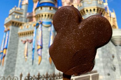 The 15 Best Snacks for UNDER $10 in Disney World