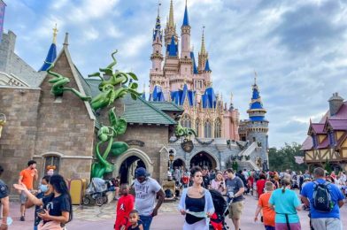 PHOTOS: Splash Mountain Could Be DOWN All Day at Disney World