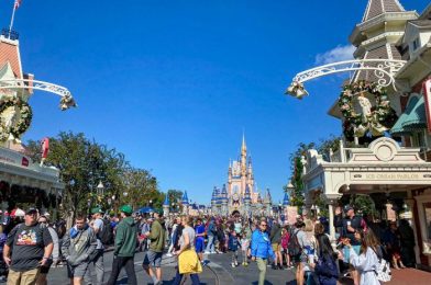 PHOTOS & VIDEO: You Have to See the Thanksgiving CROWDS in Disney World!