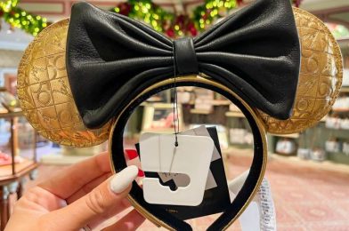 DFB Video: 8 Disney World Buys That Will Save You Money