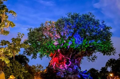 What’s New at Animal Kingdom: A Weird Sloth Souvenir and Holiday Puppets!