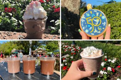 REVIEW: Holiday Sweets & Treats Delights at the 2021 EPCOT International Festival of the Holidays