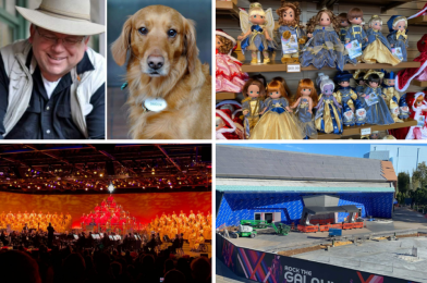 WDWNT Daily Recap (11/27/21): Disney Fires Hilton Head Island Entertainers B’Lou Crabbe & Shadow the Dog, Automatic Doors Installed at Guardians of the Galaxy: Cosmic Rewind, and More