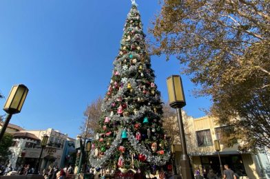 PHOTOS: Christmas Tree Installed at Disney California Adventure