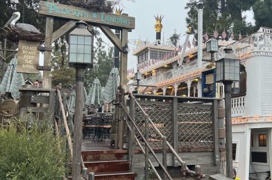 PHOTOS: New Pelican’s Landing Waterfront Seating Area Opens at Disneyland