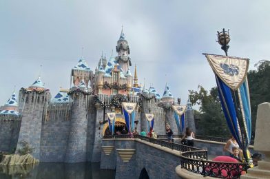 PHOTOS: Sleeping Beauty Castle, Main Street U.S.A., and Mickey’s Toontown Decked in Holiday Decorations at Disneyland Park