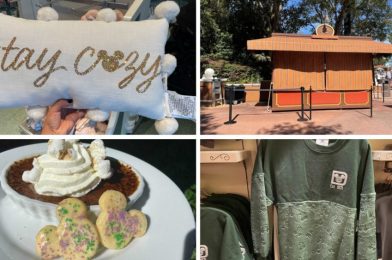 WDWNT Daily Recap (11/14/21): Bees Invade Joffrey’s Kiosk, Hot Cocoa Creme Brulee Now Available at Disneyland Park, Velour Spirit Jersey Arrives at Walt Disney World, and More