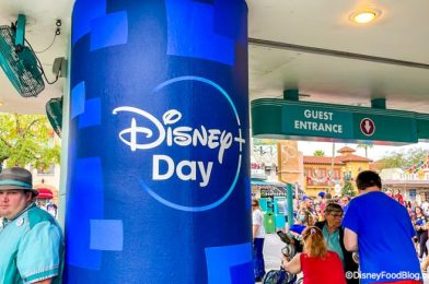 PHOTOS: What Disney+ Day Celebrations Look Like in the Parks Today!