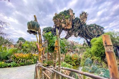 What’s New at Disney’s Animal Kingdom: Wait Times Over 2 HOURS and Jaw-Dropping Holiday Decor