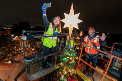 PHOTOS: Disneyland Cast Members Celebrate the Season With First Christmas Tree Lighting