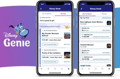 The My Disney Experience App Now Shows If You’re a Disney+ Subscriber