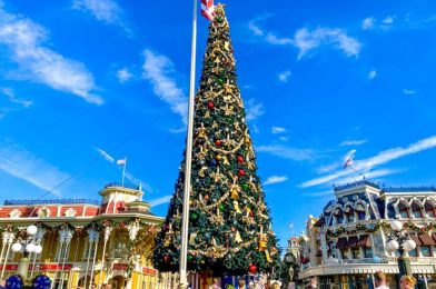 PHOTOS: You’ll Wanna See the NEW Additions to Disney World’s Christmas Tree Stroll!